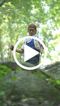 BIB:  <button type="button" onclick="openModal(27934798)" class="btn btn-primary btn-sm float-right" data-toggle="modal" data-target=".modal-high-quality">
                <i class="fa fa-download"></i> Download
                </button>